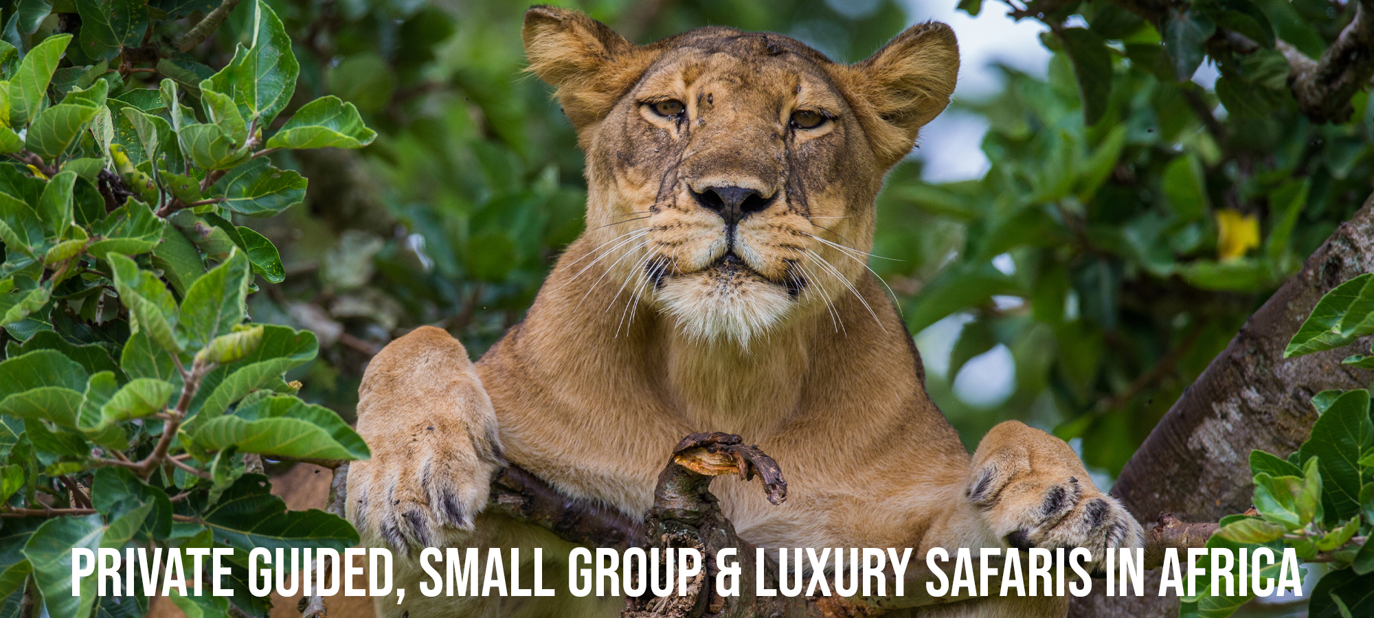 Nature Travel Africa