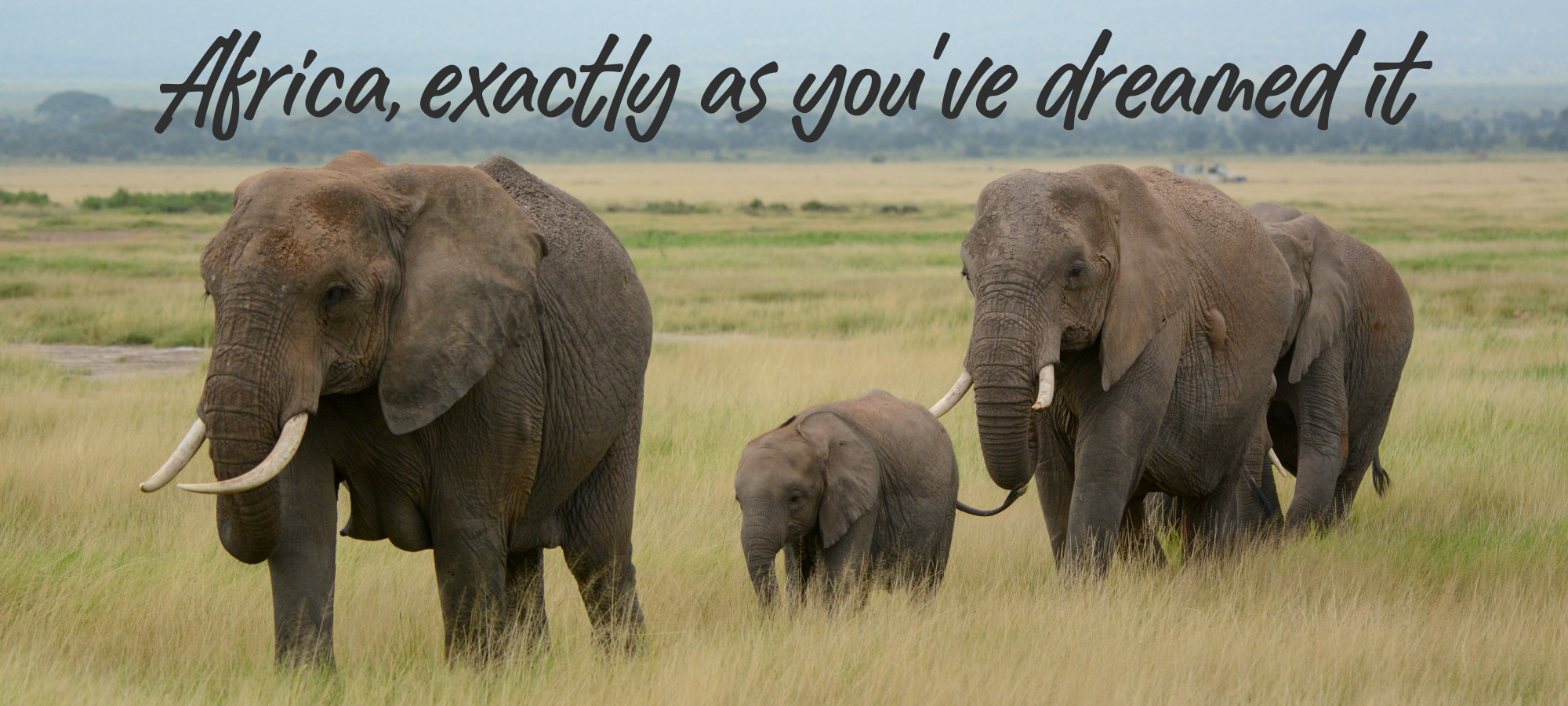 Nature Travel Africa